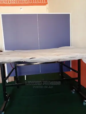 Table Tennis (Foldable) Set With Net and Racket, Water Resistant