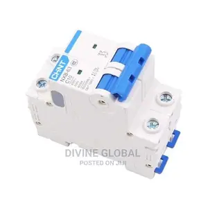 63A 2pole Chint Circuit Breaker