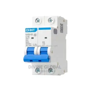 63A 2pole Chint Circuit Breaker