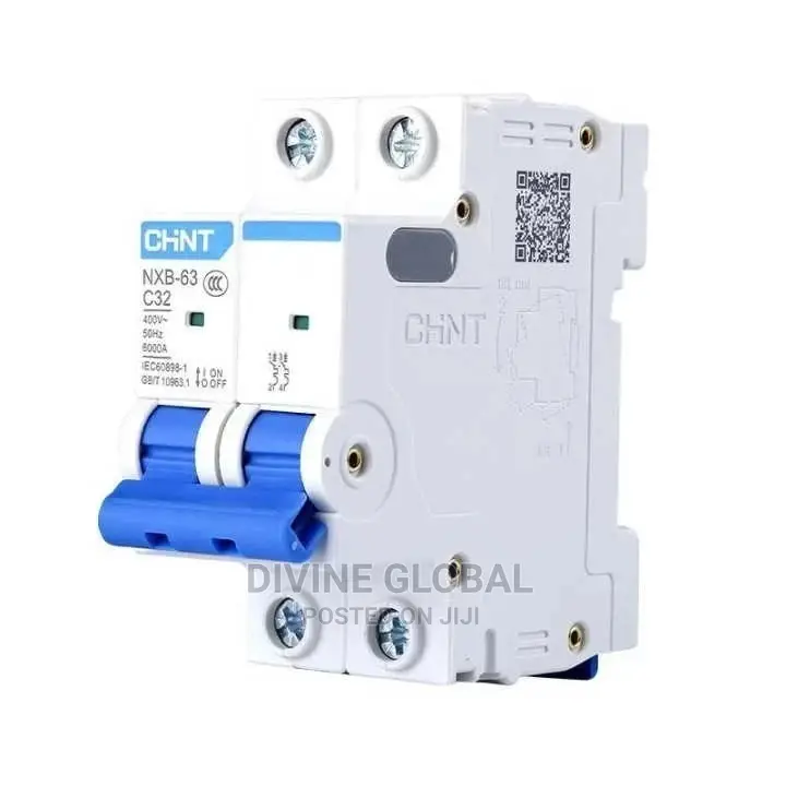 63A 2pole Chint Circuit Breaker