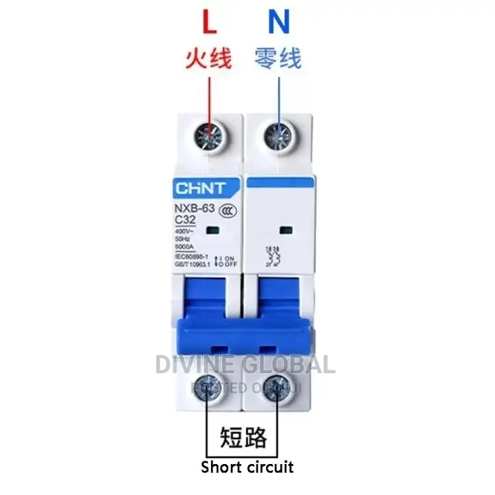 63A 2pole Chint Circuit Breaker