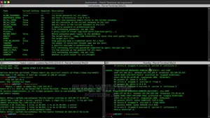 Certified Ethical Hacking
