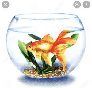 Mini Fish Bowl With Fish