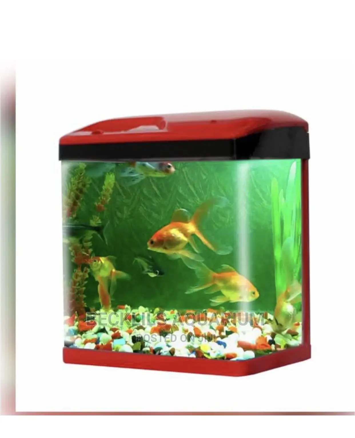 Aquariums and Accessories