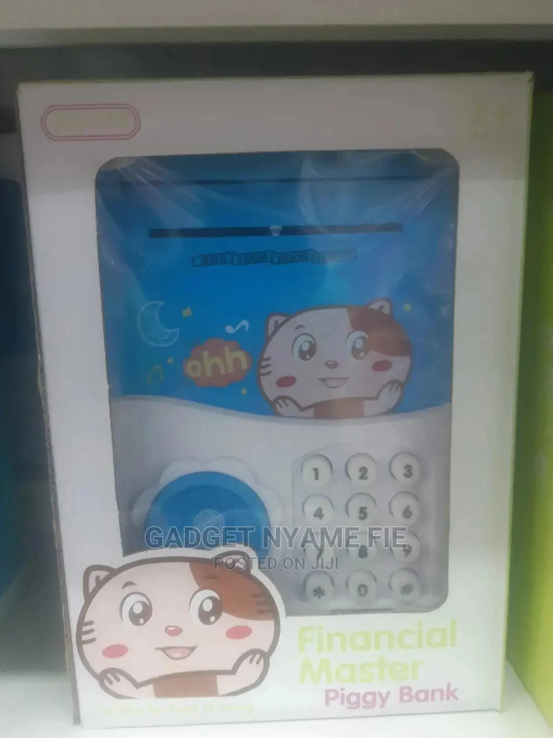 Financial Master/ Piggy Bank