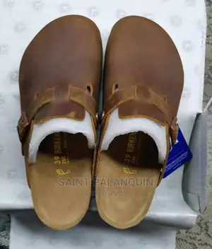 Boston Birken
