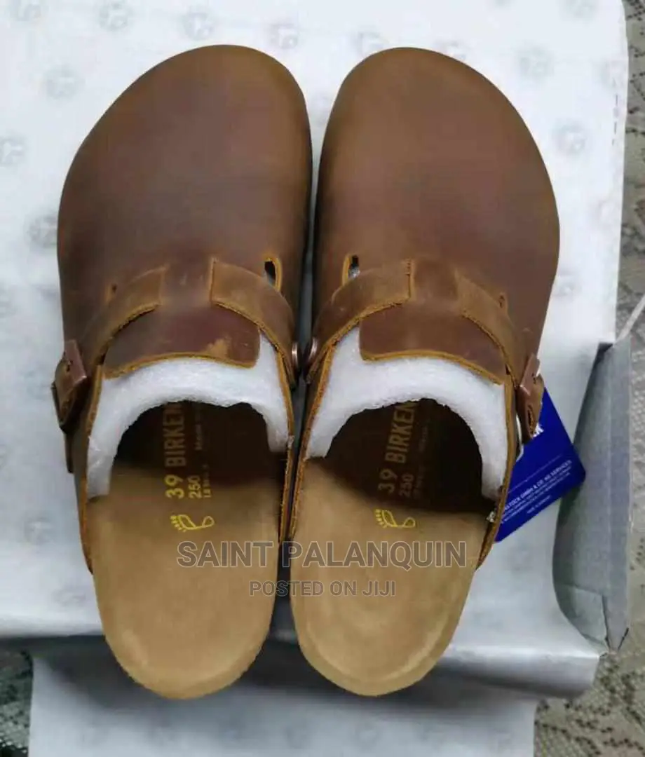 Boston Birken
