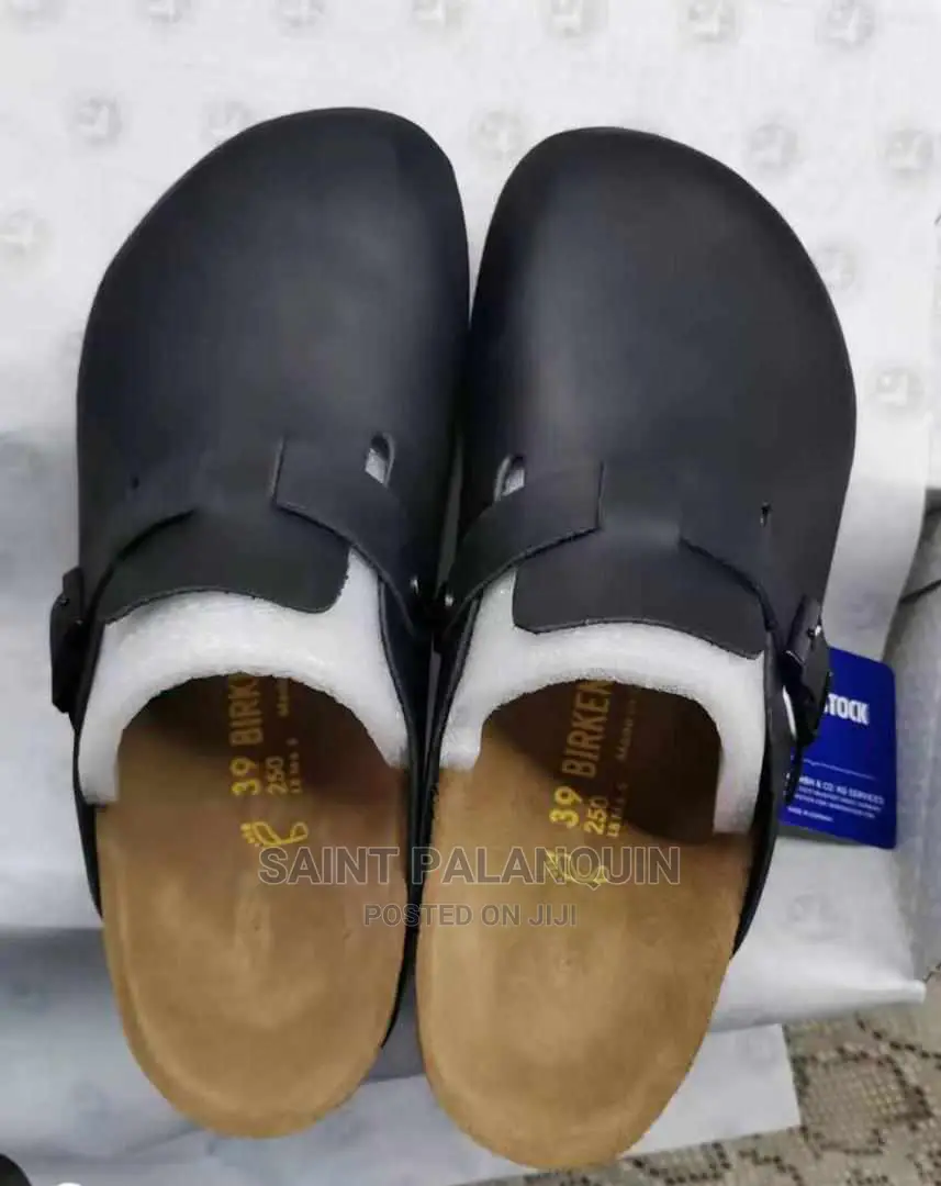 Boston Birken