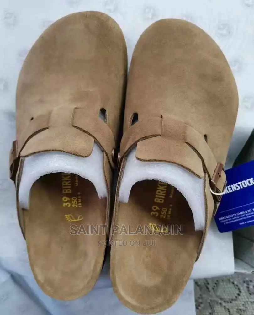 Boston Birken