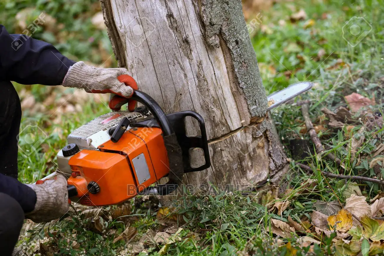 Chainsaw Operators to Cut Your Trees for You