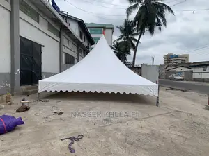 All Kinds of Marquee Canopies for Sale