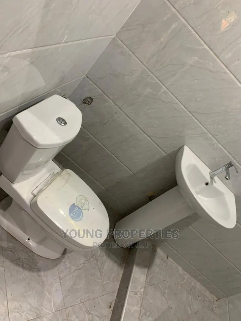 2bdrm Apartment in Young Agent, Amasaman for rent