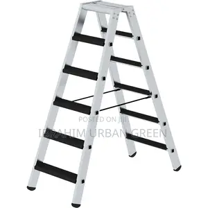 6 Steps Two Side Ladder
