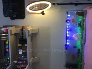 Aquarium Tabletop With 6 Tropical Fishes 32”/9”/9”