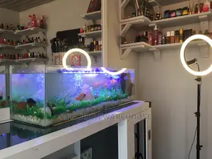Aquarium Tabletop With 6 Tropical Fishes 32”/9”/9”