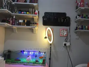 Aquarium Tabletop With 6 Tropical Fishes 32”/9”/9”