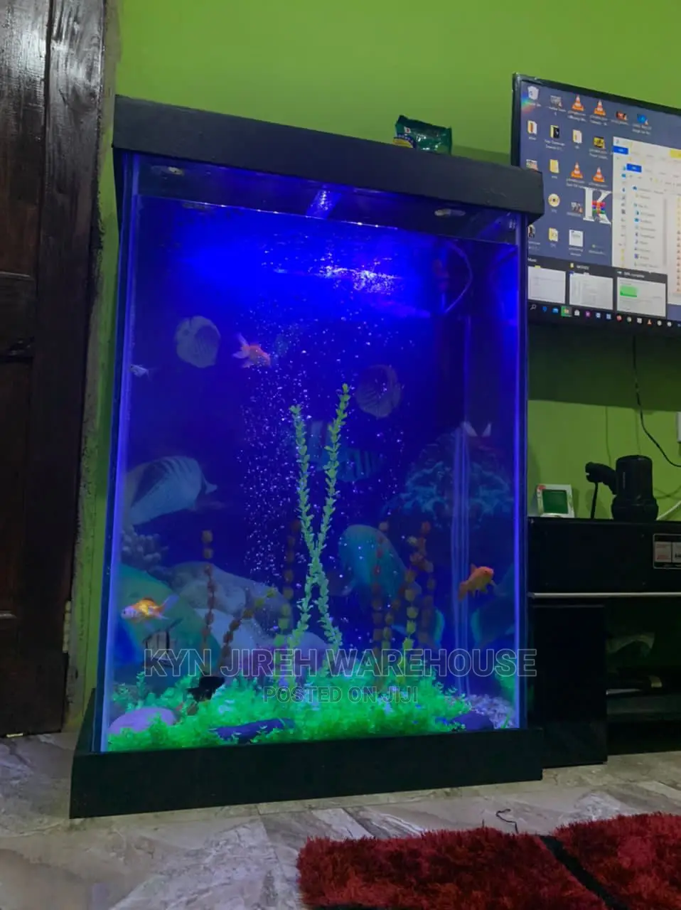 Huge Aquarium With Fishes