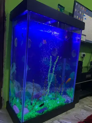 Huge Aquarium With Fishes