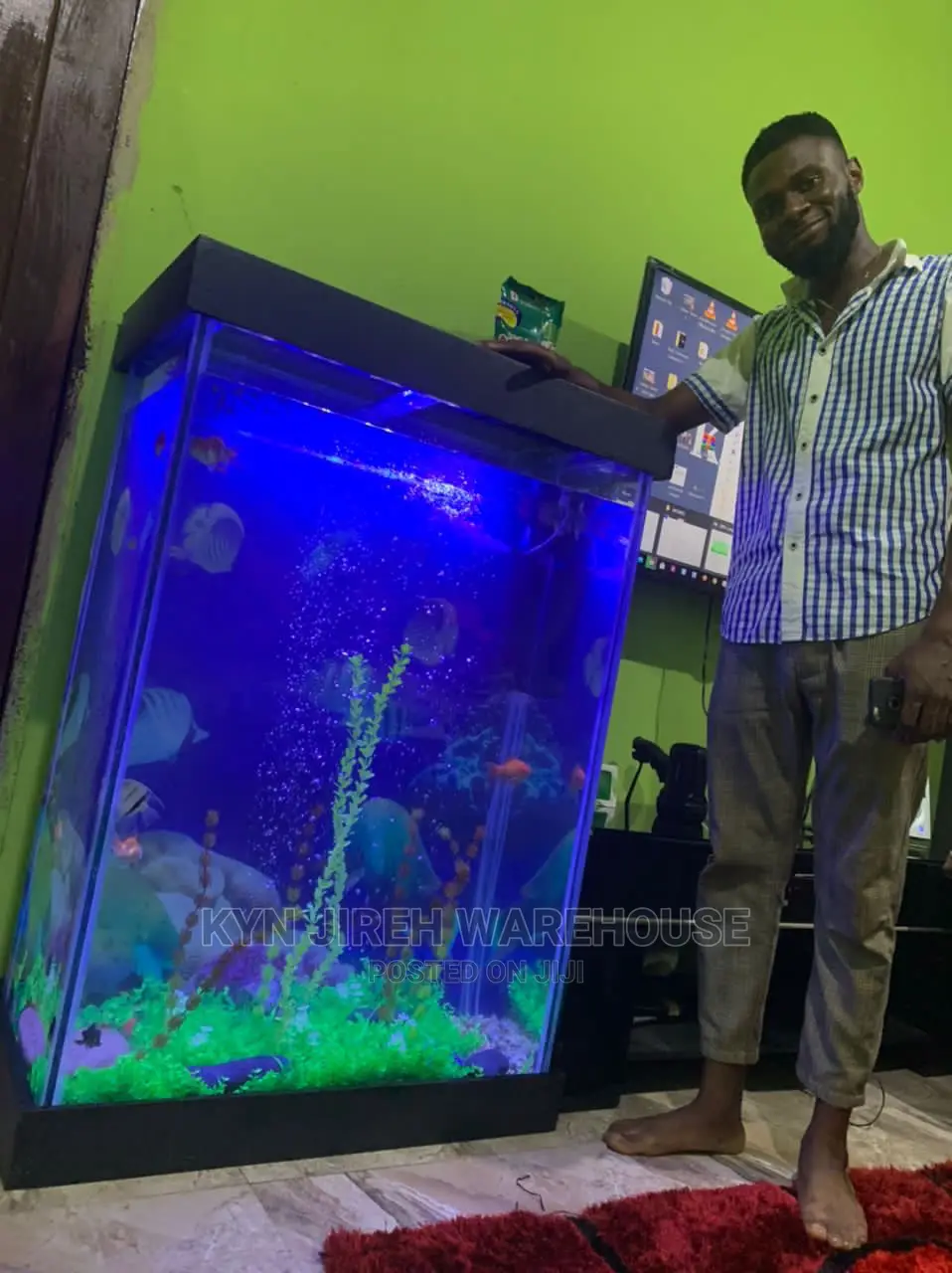 Huge Aquarium With Fishes