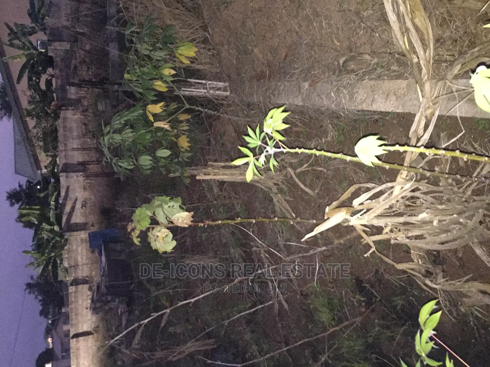 A School in Kasoa Peace Town for Sale