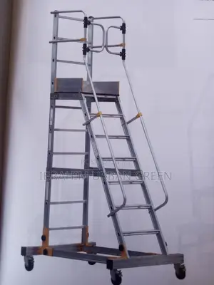 A Swimming Pool Ladder