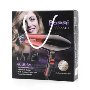Handheld Hair Dryer