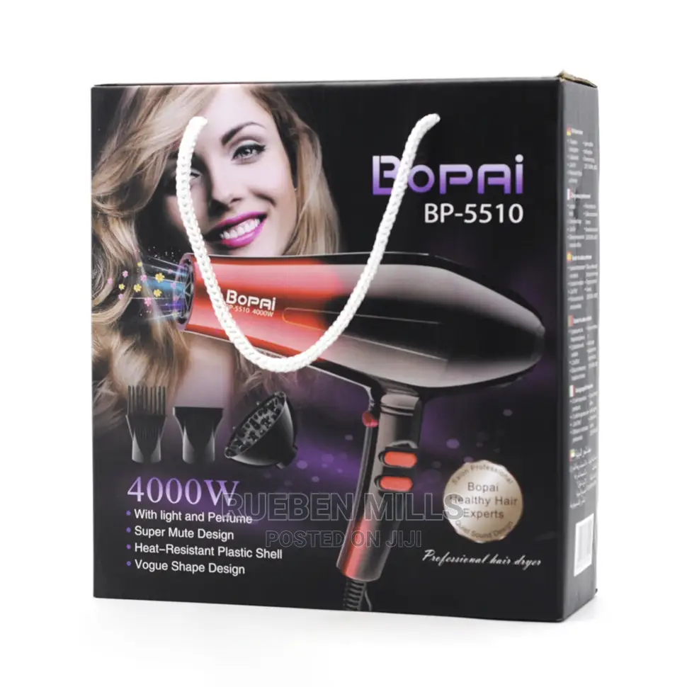Handheld Hair Dryer