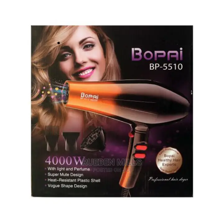 Handheld Hair Dryer