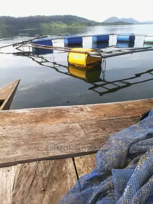 Fish Farming Land