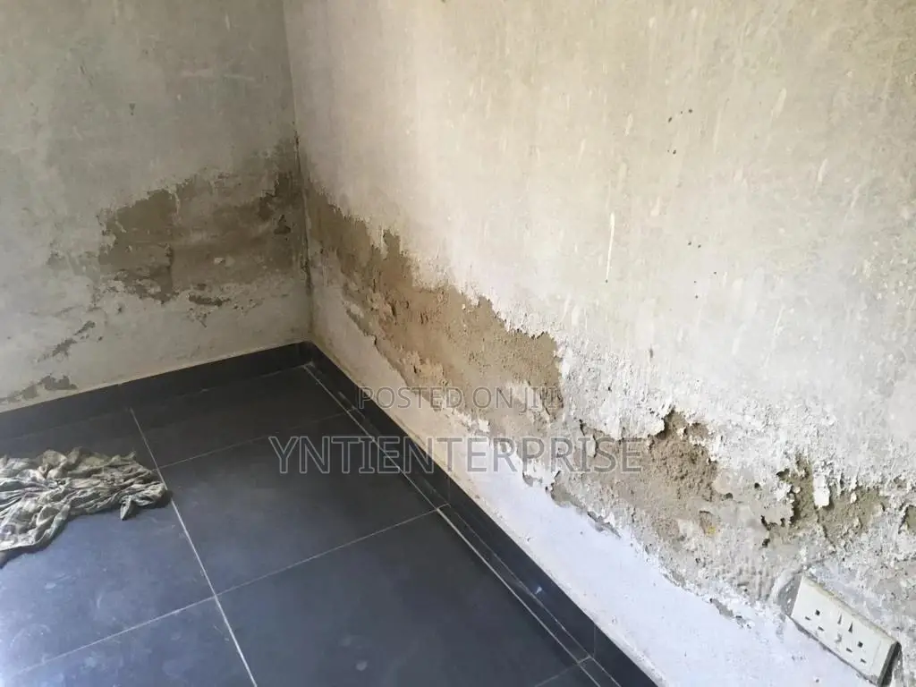 Expert in Damp Walls Repair