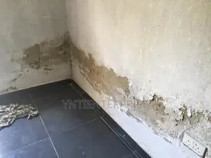 Expert in Damp Walls Repair