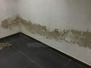 Expert in Damp Walls Repair
