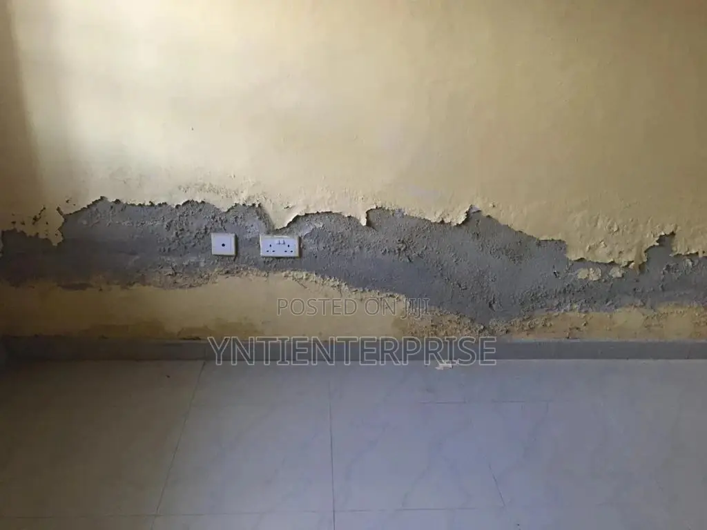 Expert in Damp Walls Repair