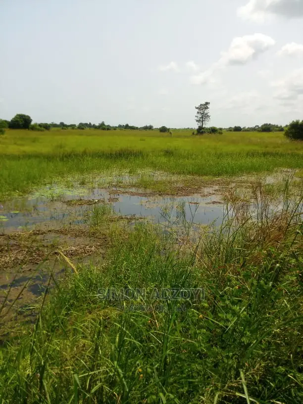10,000+ Acres of Rice Farming Land for Long Term Lease