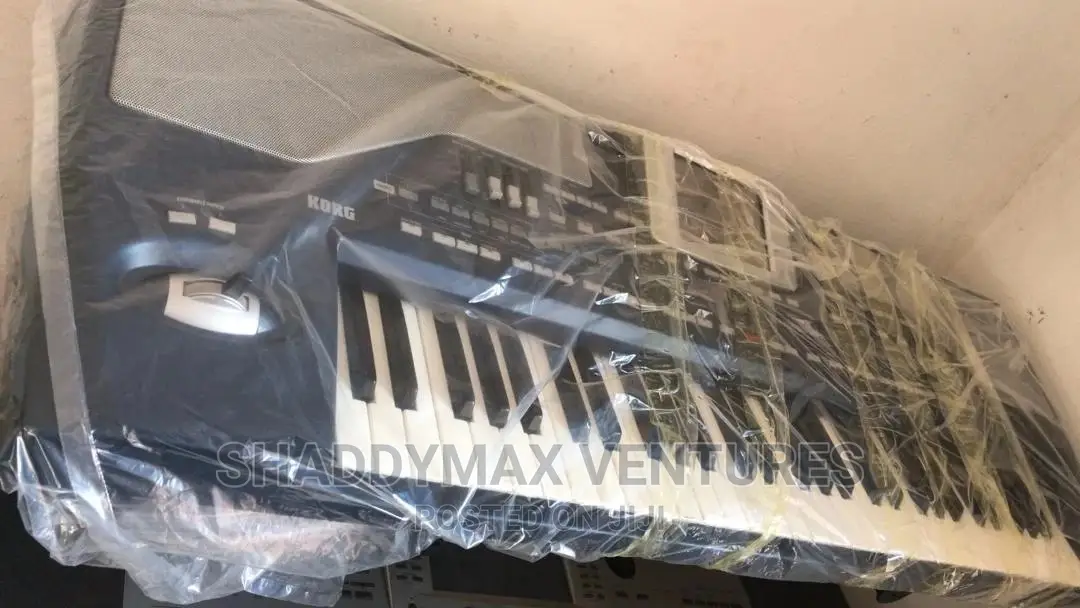 KORG Pa 800 Keyboard