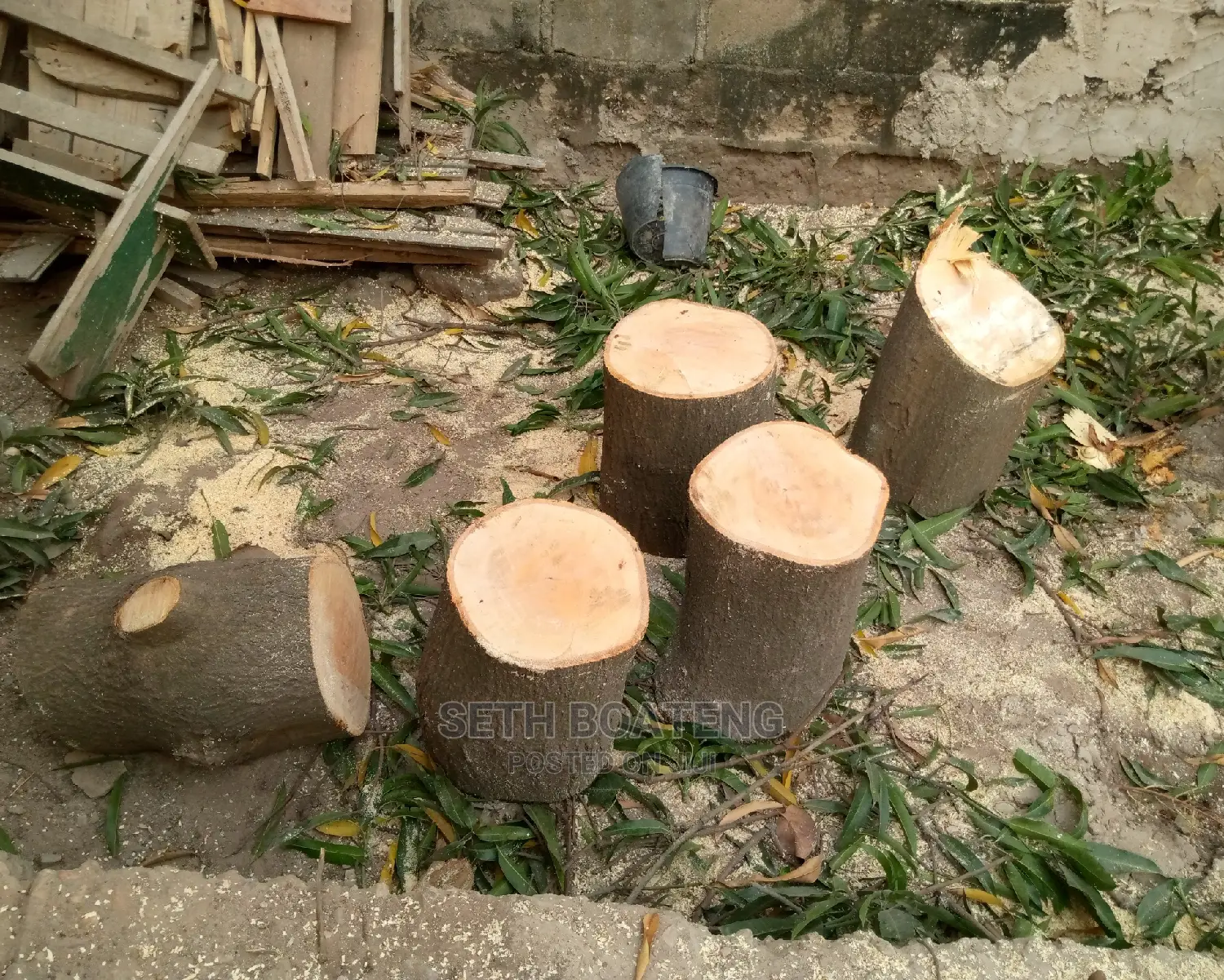 Tree Cutters