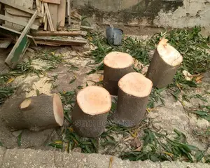 Tree Cutters