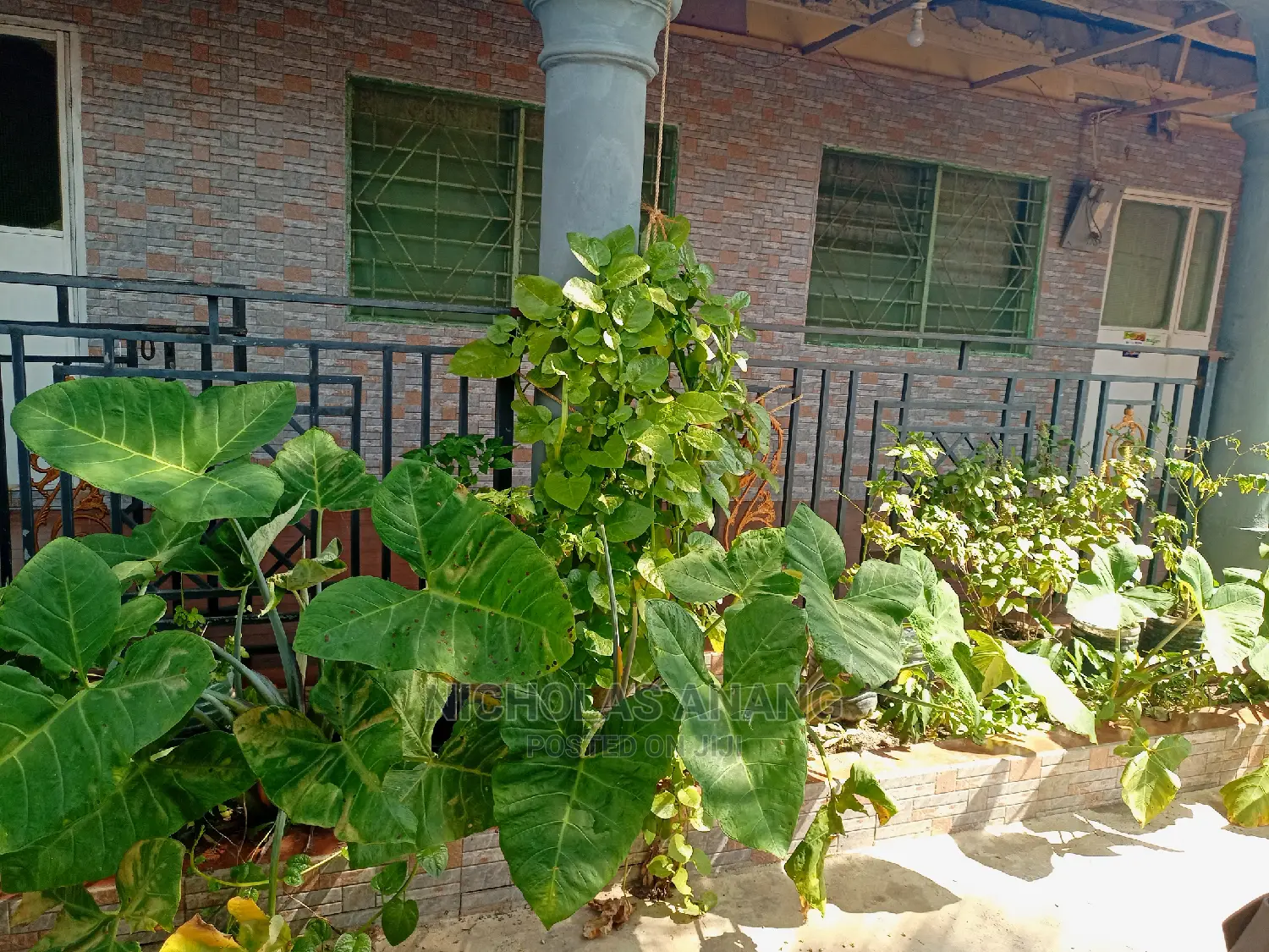 1bdrm House in Bush Road, New Town for rent