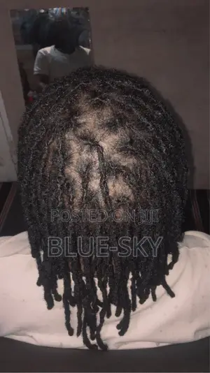 Interlocking An Dressing Dreadlocks With No Blade Only Pin