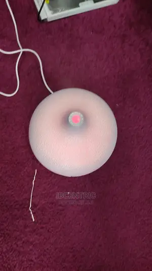 500ml Diffuser With Remote Control