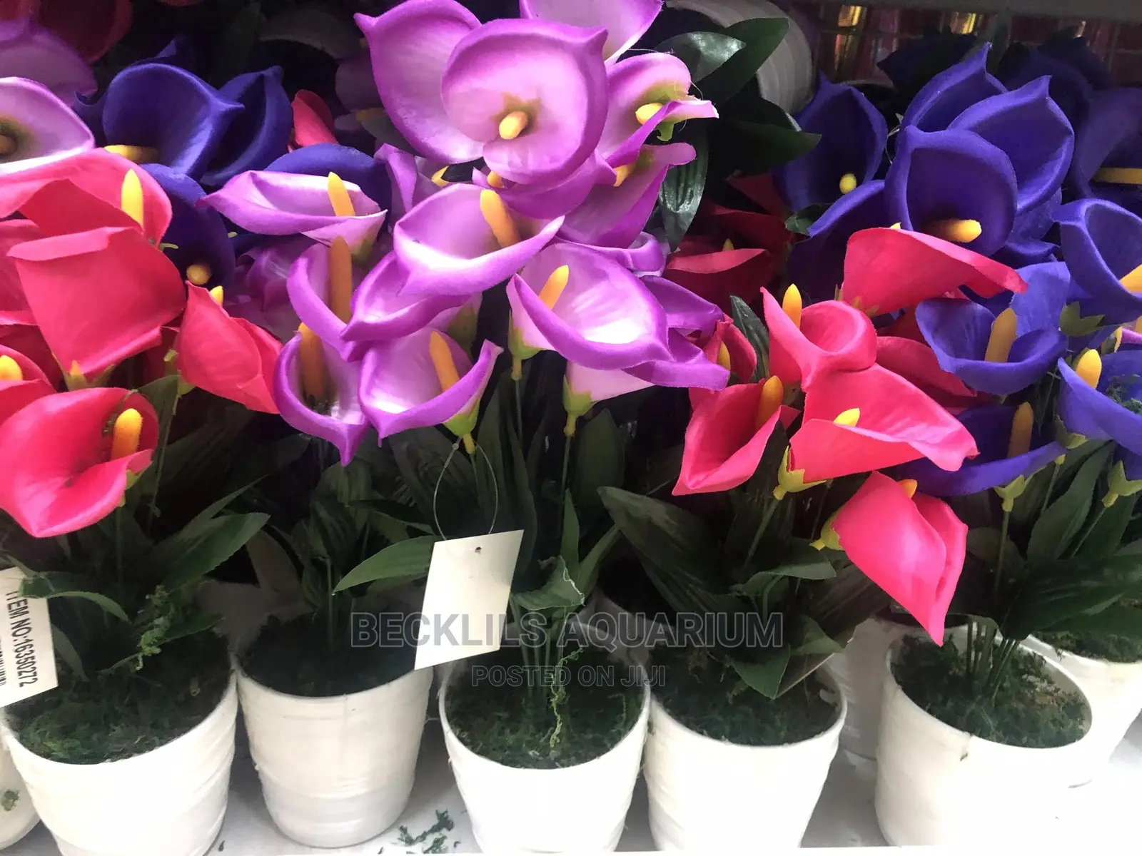 Flowers and Flower