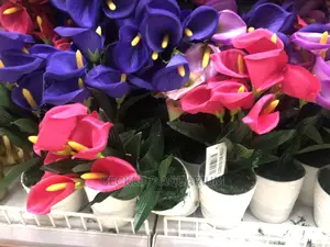 Flowers and Flower