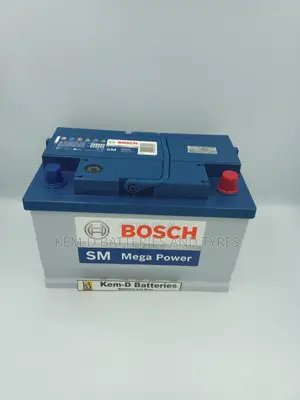 (13 Plates) Bosch Car Battery + Free Delivery