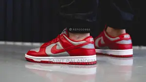 Nike Dunk Pine Red