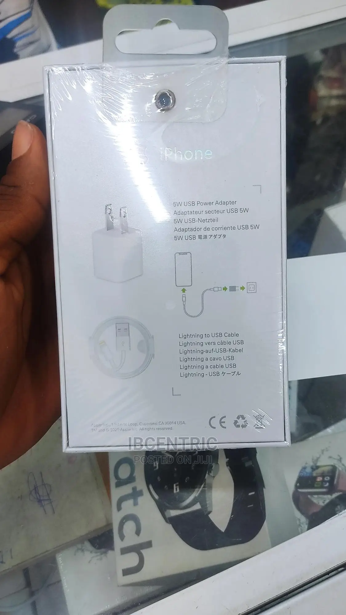 iPhone Travel Charger