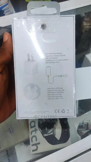 iPhone Travel Charger