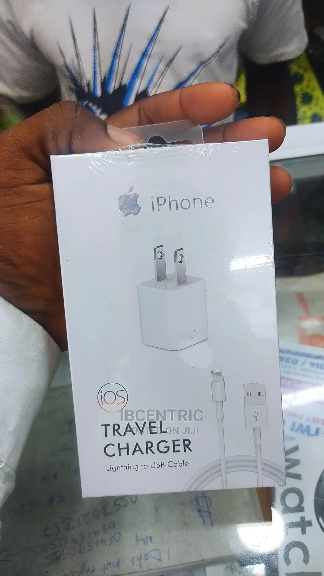 iPhone Travel Charger