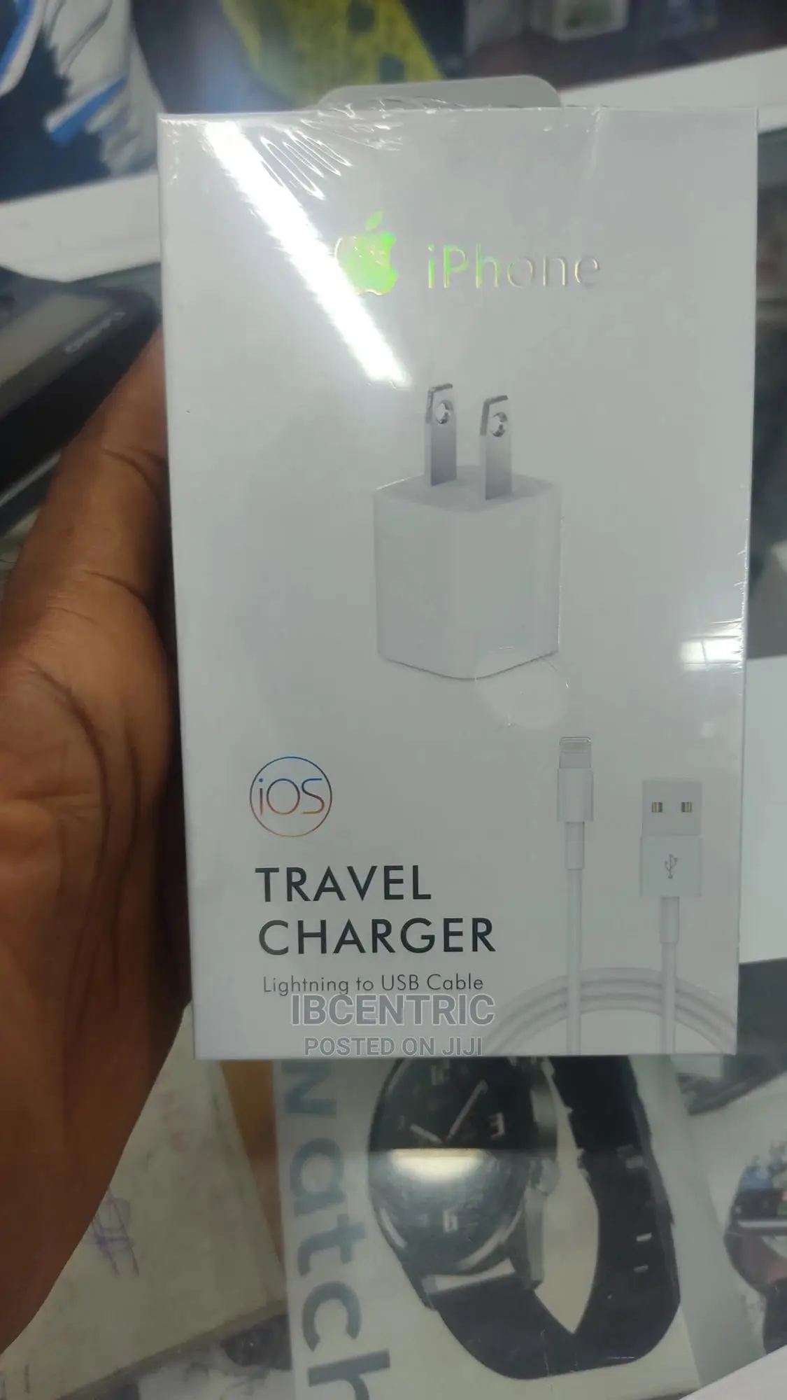 iPhone Travel Charger