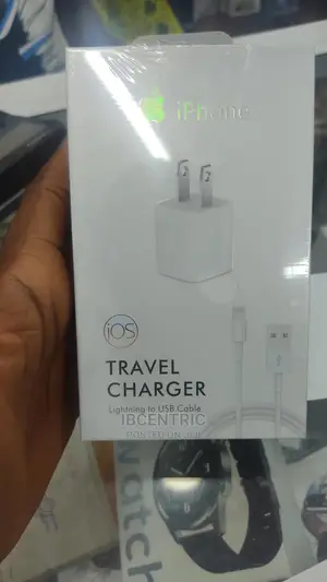 iPhone Travel Charger