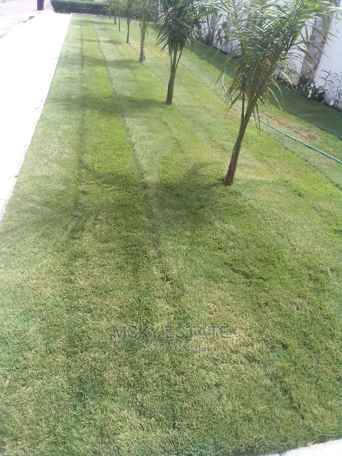 Garden Supplies